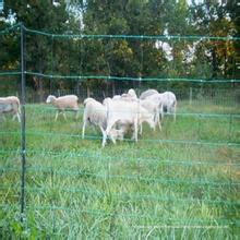 Забор крупного рогатого скота и Загородка поля суставного сочленения дешевые панели Загородки 